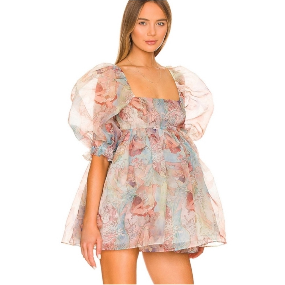NWT Selkie Pastel Floral Organza Babydoll Dress, XS